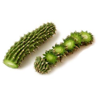 kapucňa gordonia - zloženie Reduslim