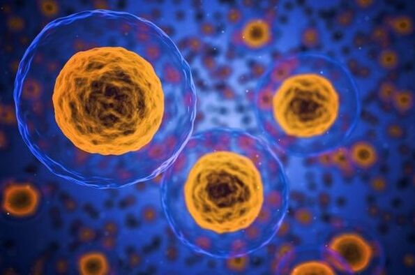 Ako prebieha proces chudnutia